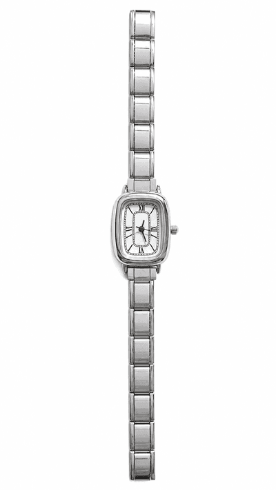 Sierra charmwatch silver
